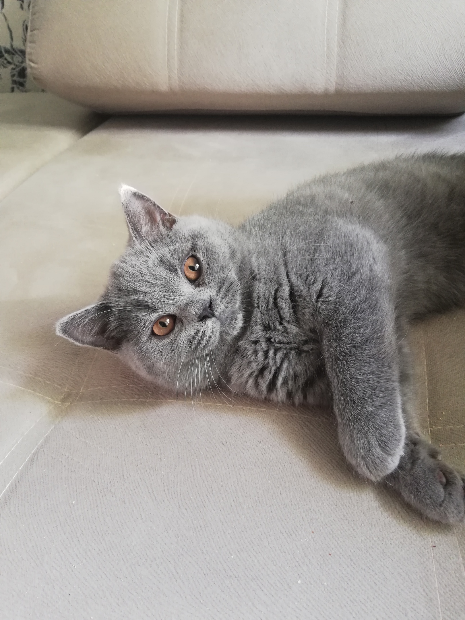 Планы на выходные - ничего не делать