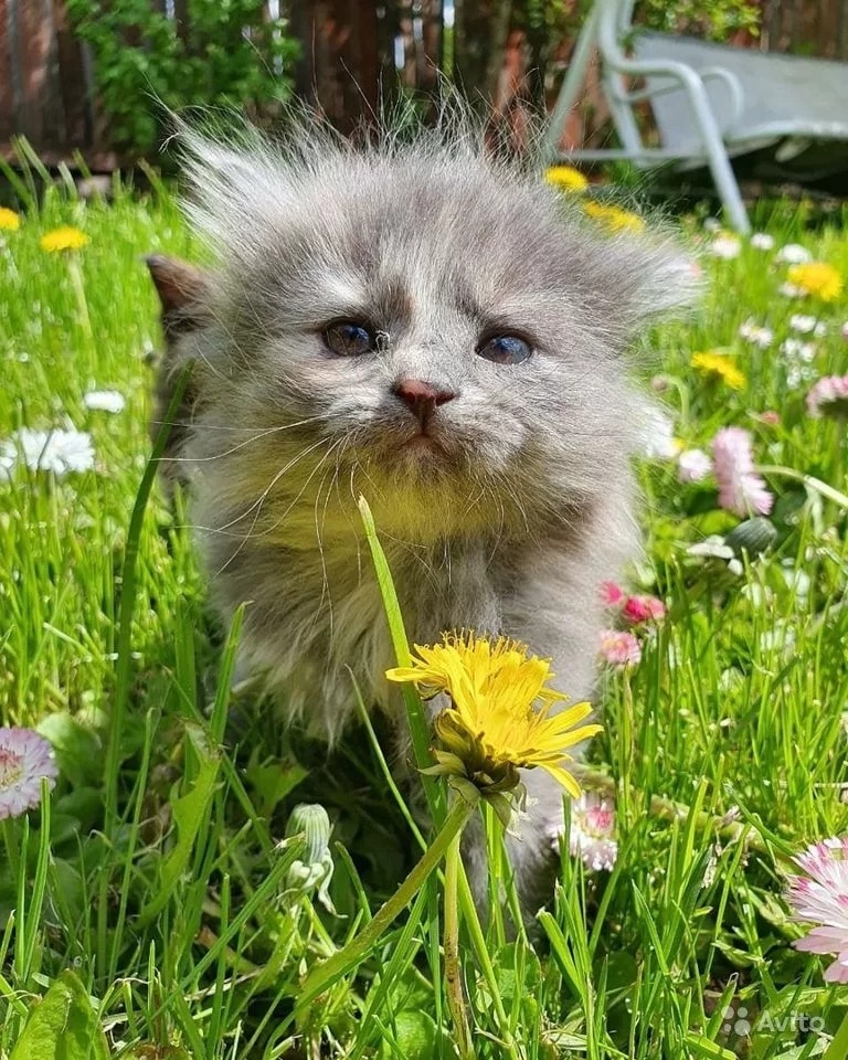 Как же хочется с утра, пожелать всем - добра