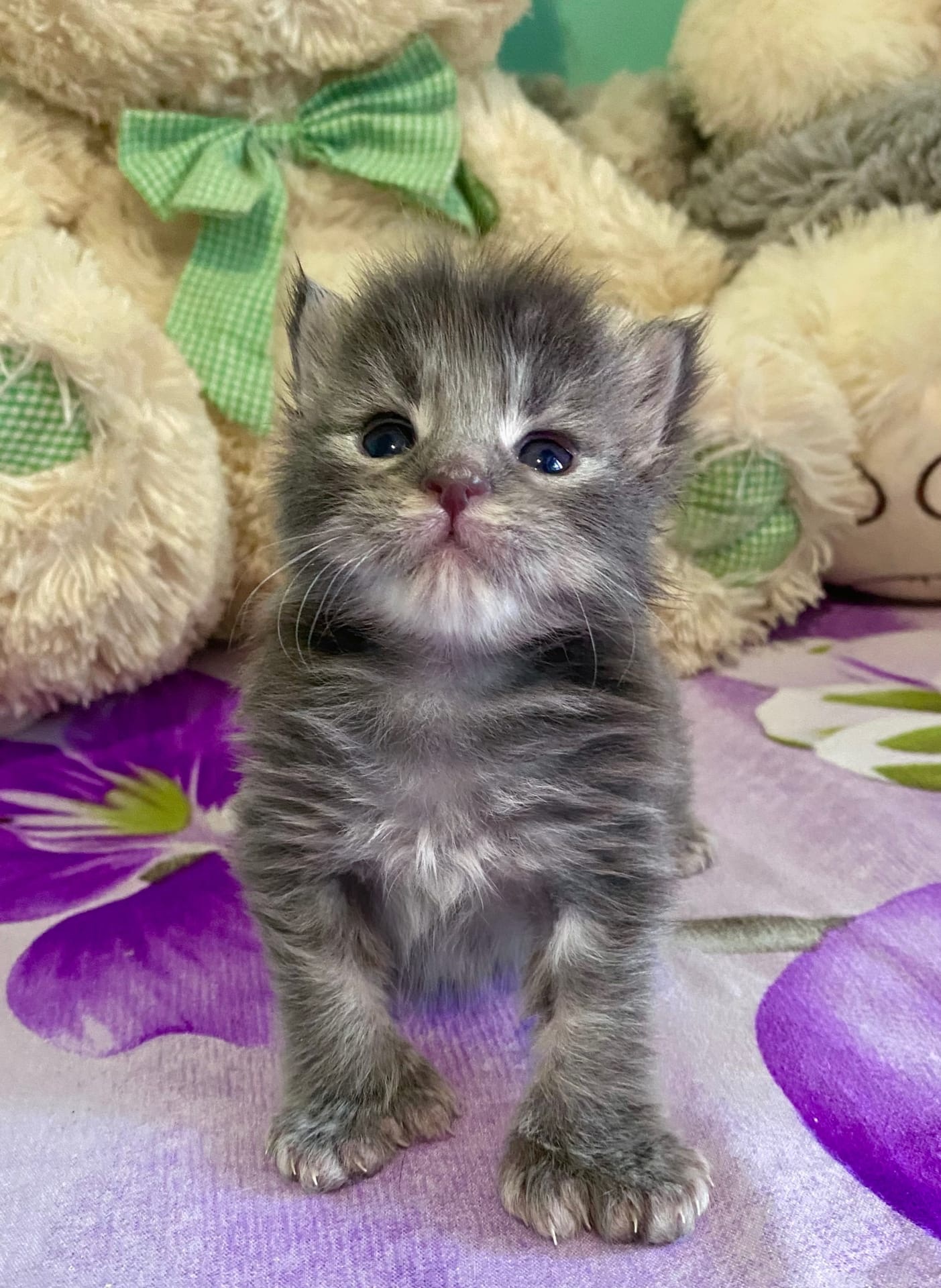 Проснулся пораньше, чтобы все успеть