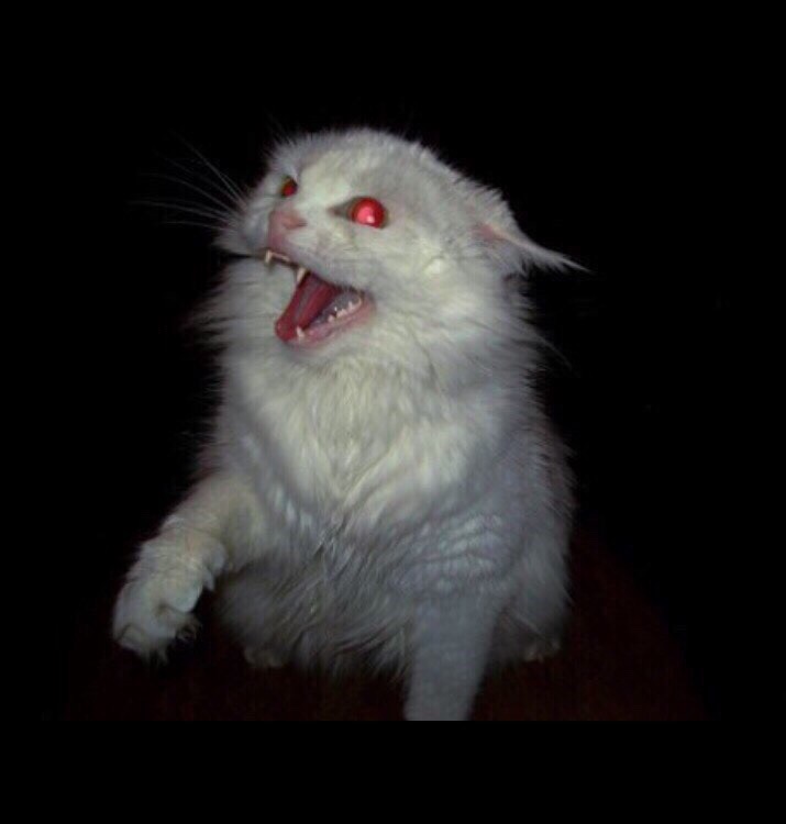 С приходом темноты, я зверею