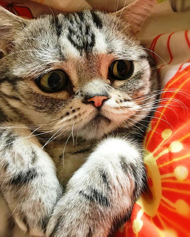 А что, я сегодня буду спать один