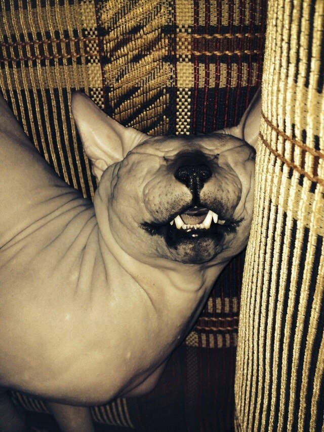 За день, все устали очень