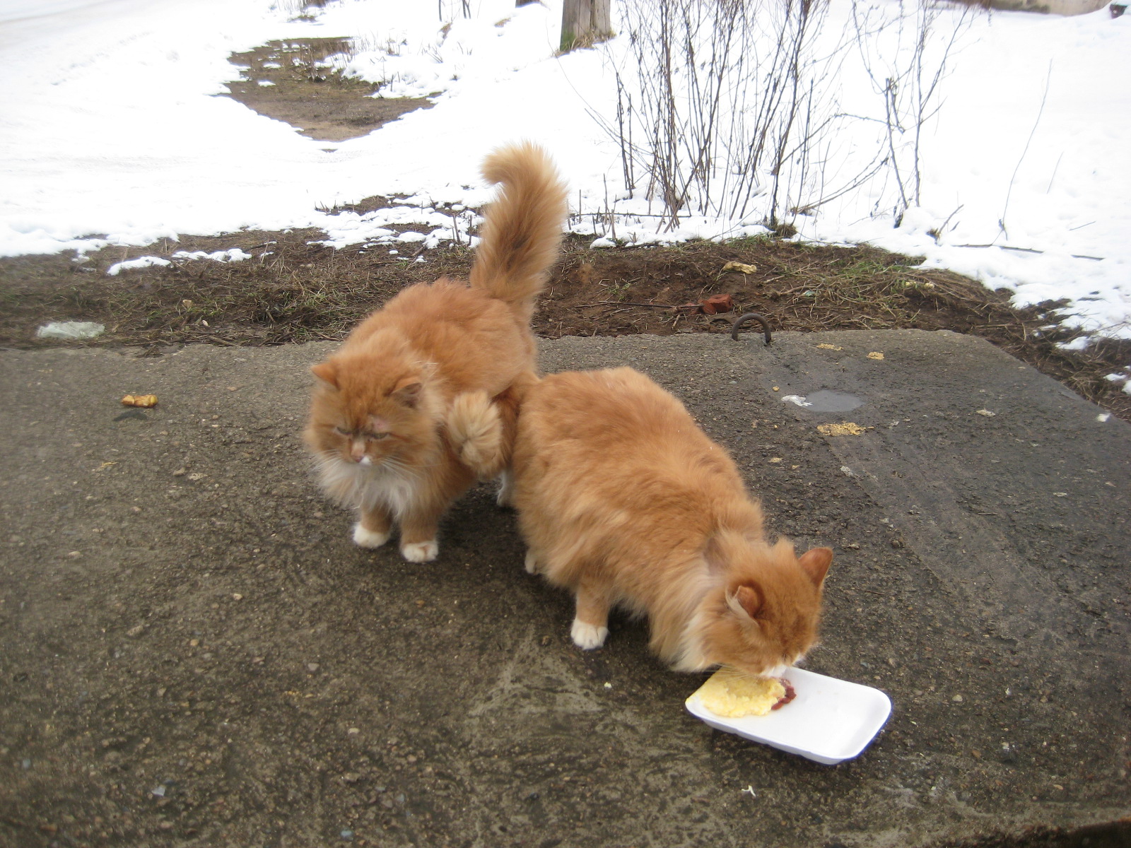 Зимой - холодно и голодно