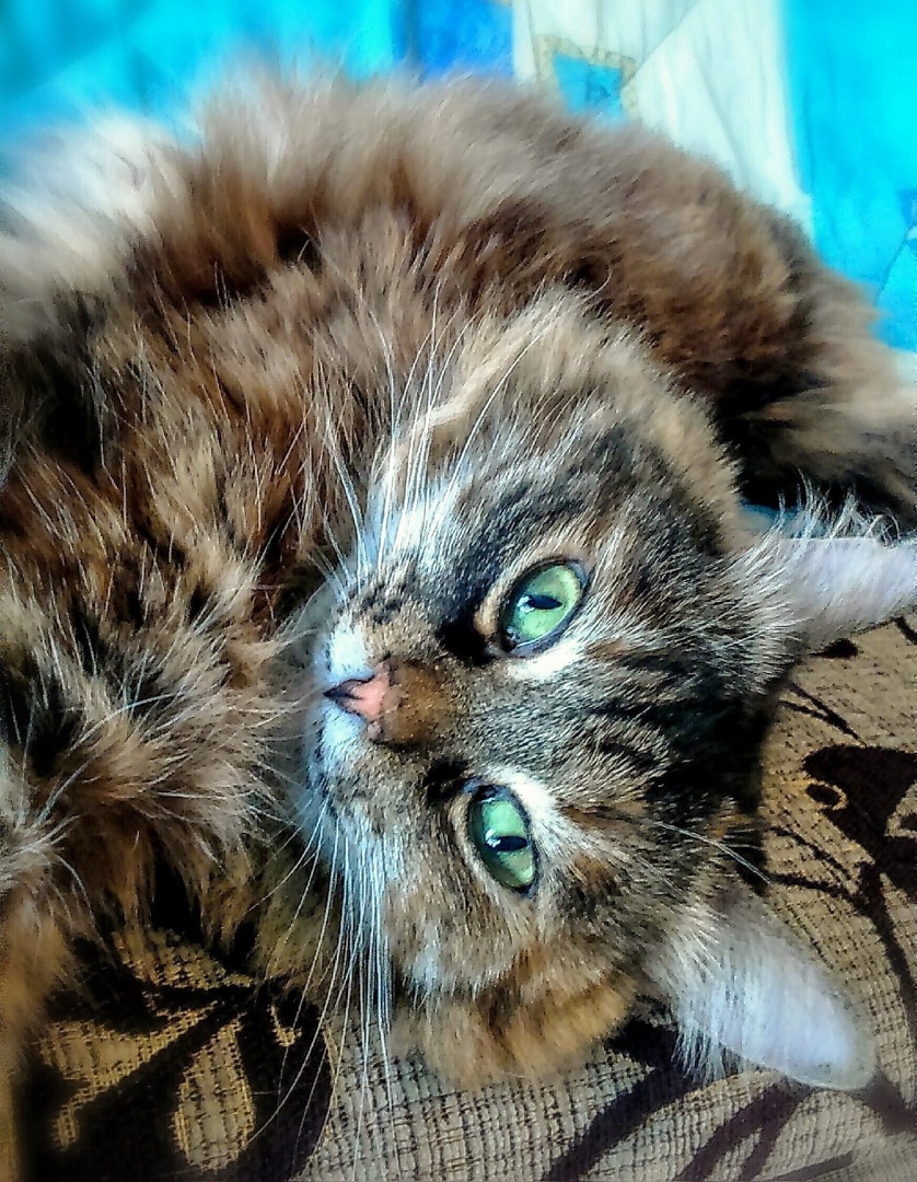 Проснулись, потянулись от души