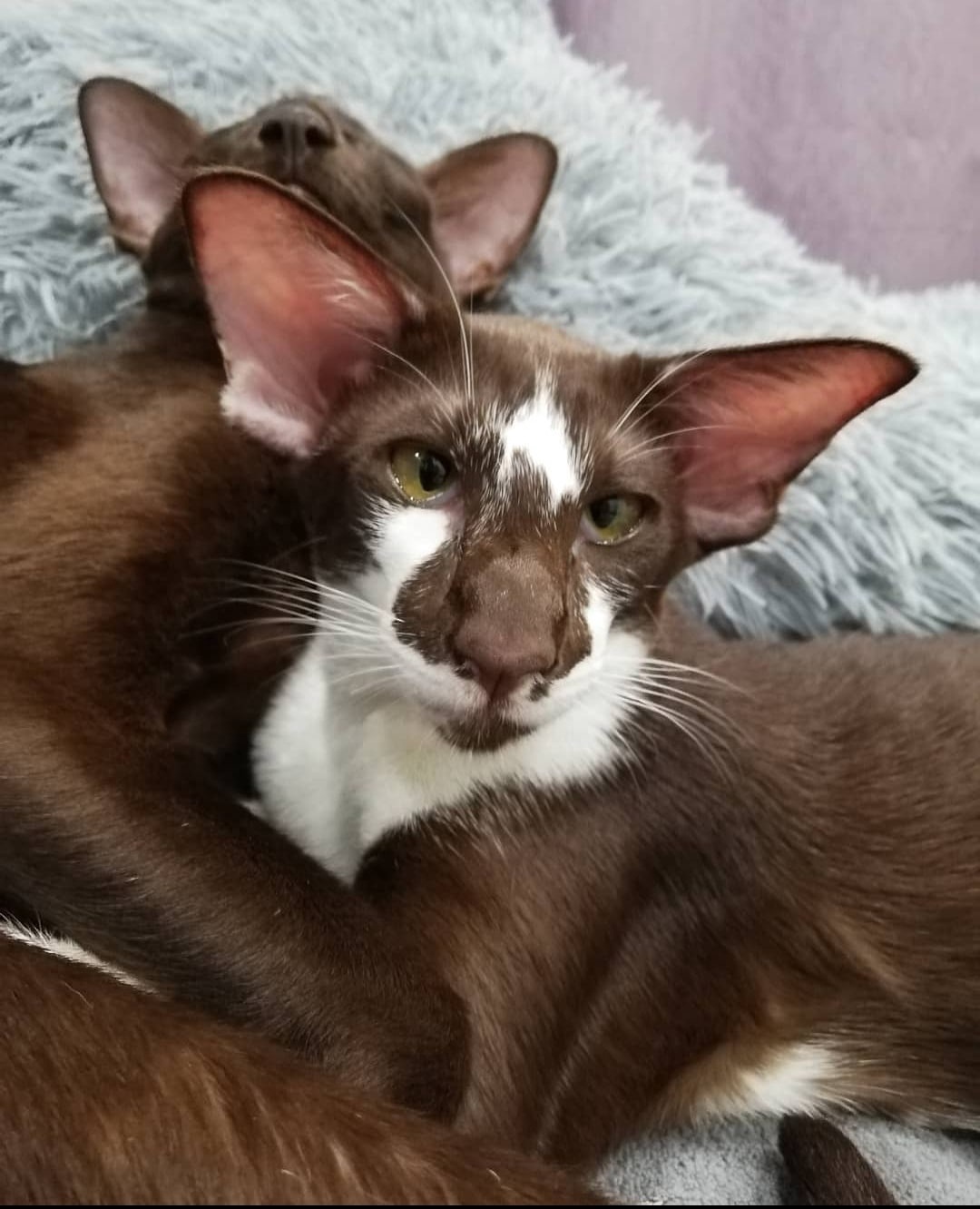 Все дрыхнут, только мне не спится