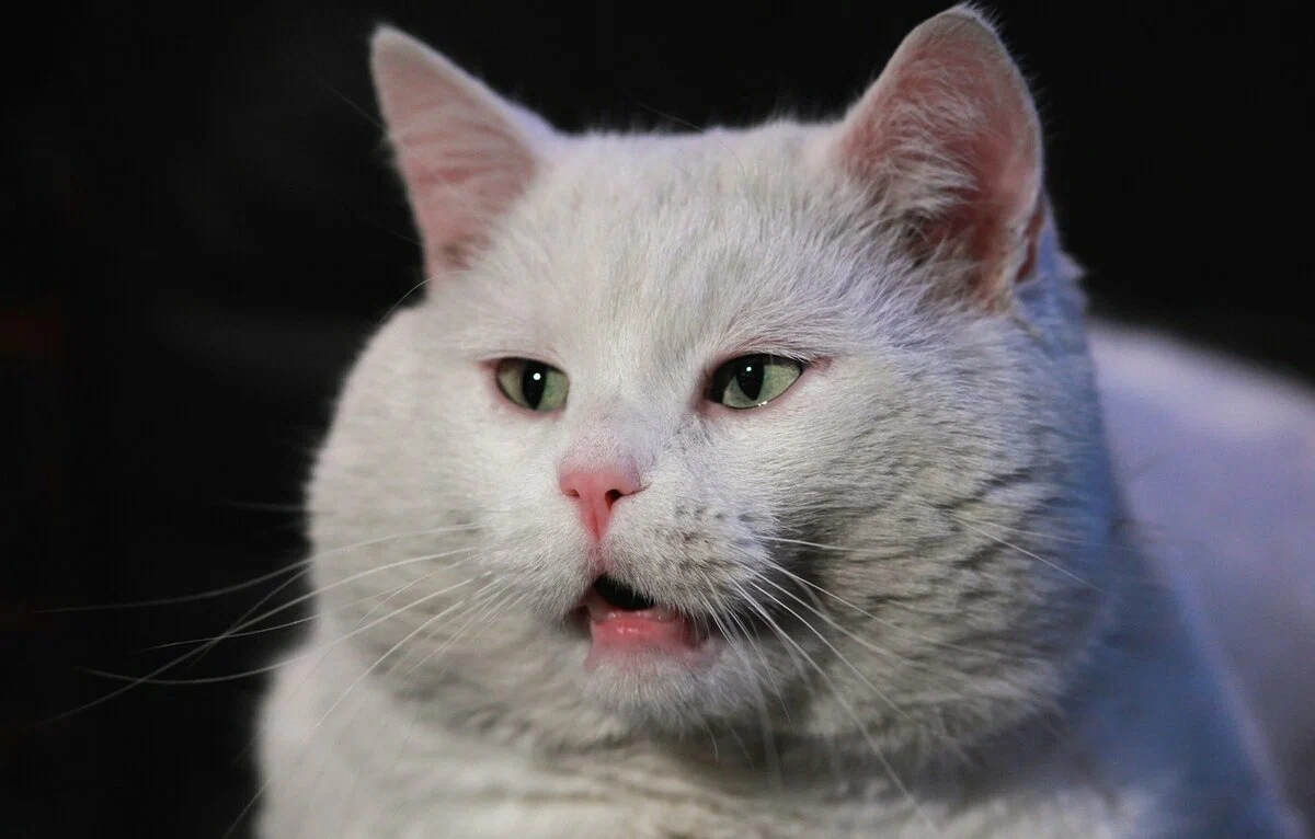 Поговорить, охото