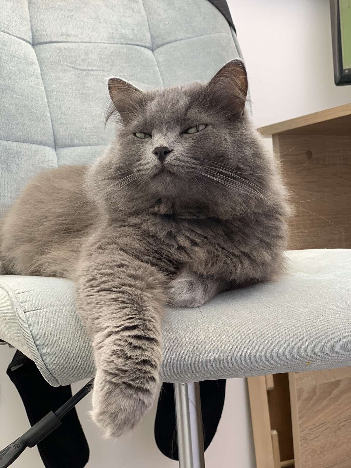 Хотите посидеть на моём стуле, это будет дорого стоить