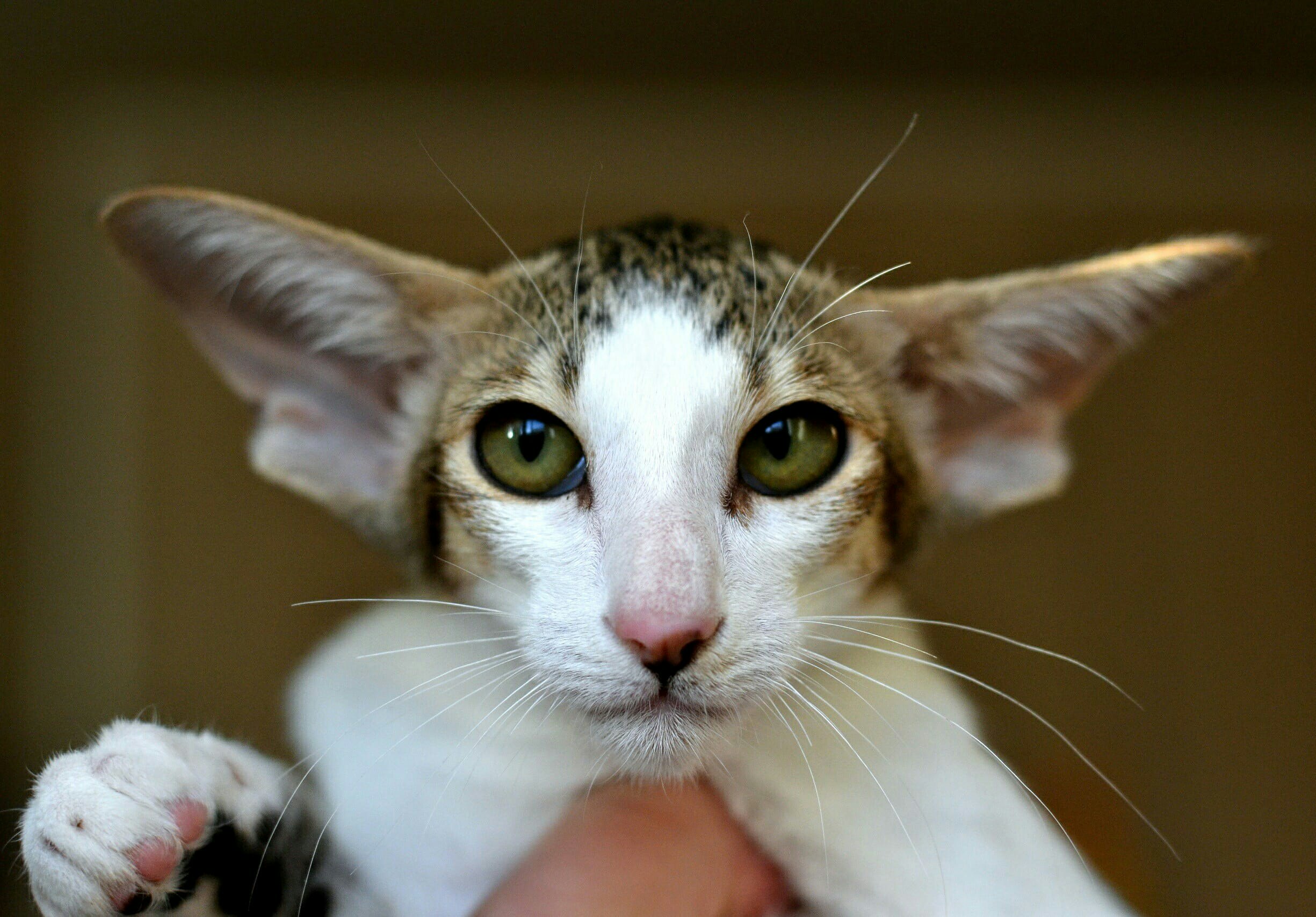 Верните меня обратно, в кроватку