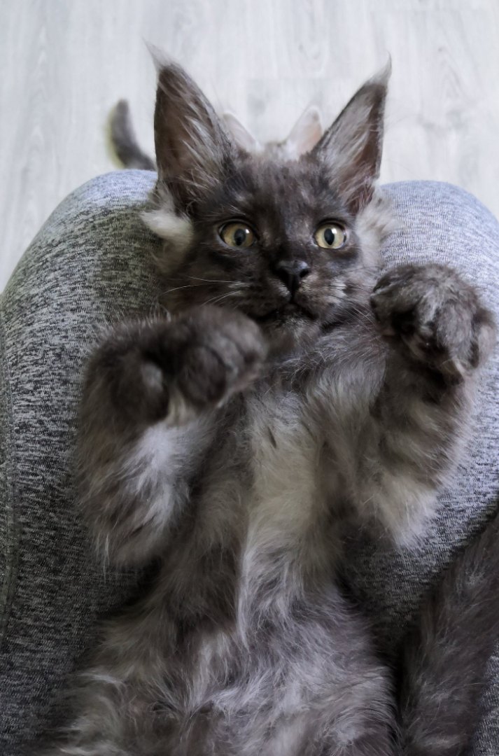 Может хватит играться, пора идти обжираться