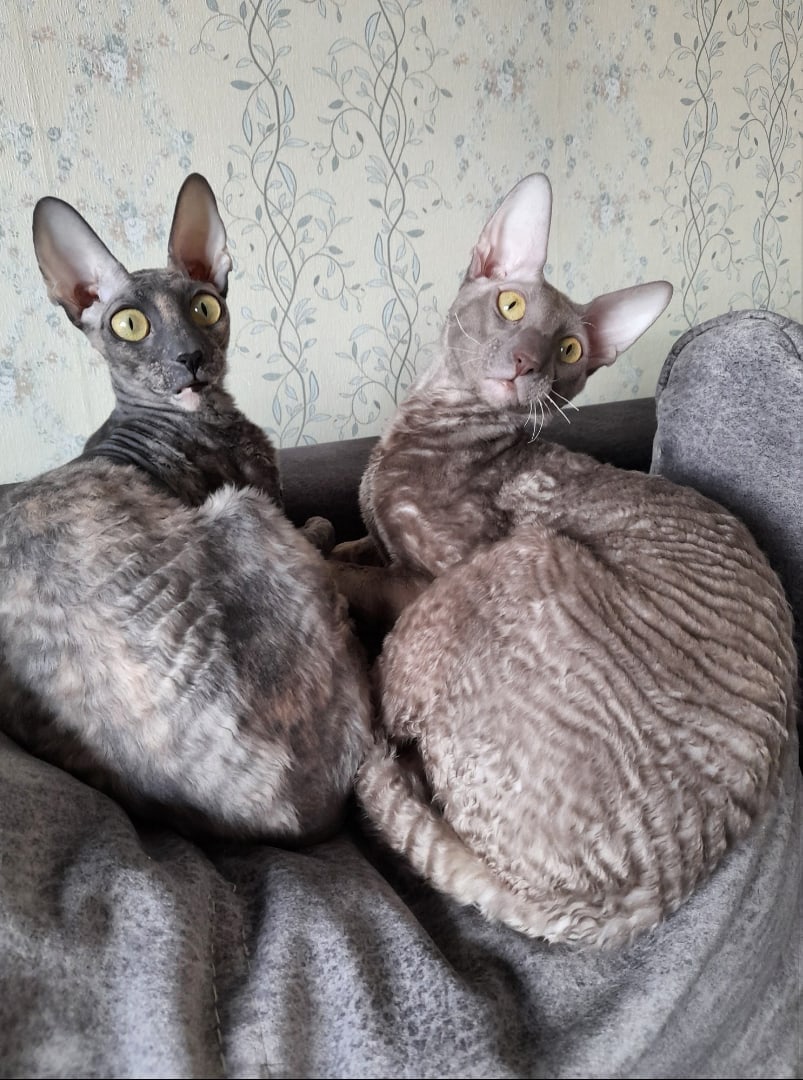 Мы хотели бы побыть - наедине