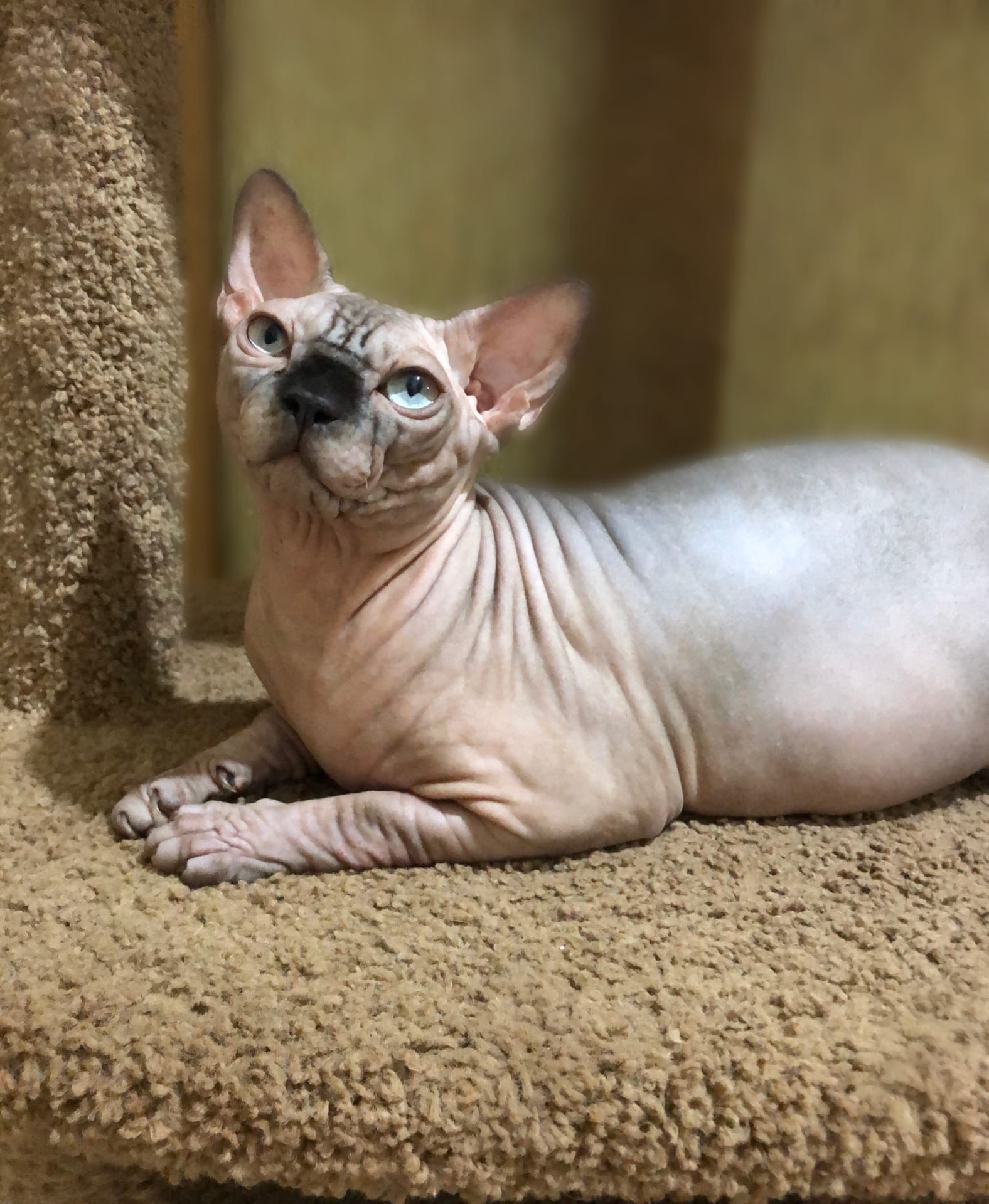 Мне так не хочется вставать, а пить очень даже