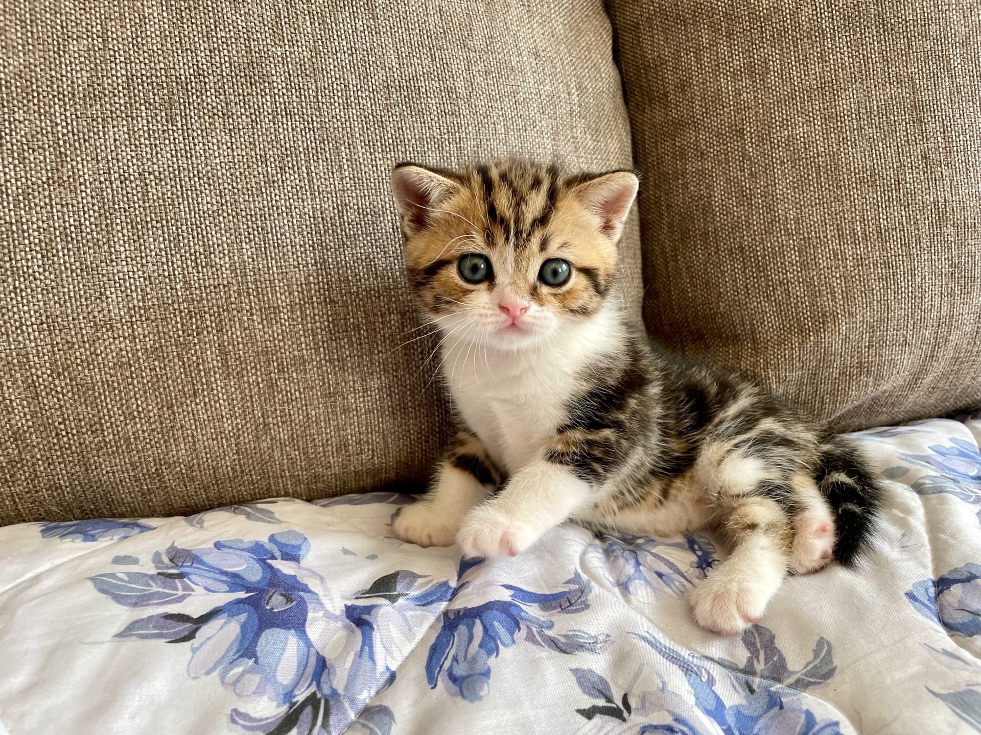 Всем строиться, я буду выбирать - с кем играть