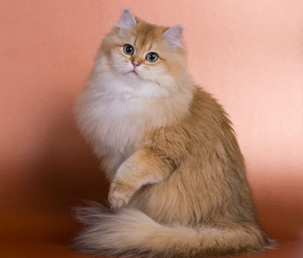 Хвалите меня, не останавливайтесь