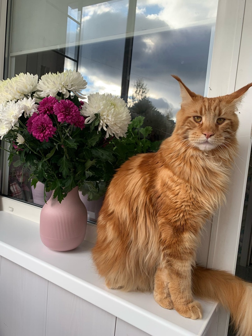 Кому - то цветочки, а кому - то ничего, не справедливо