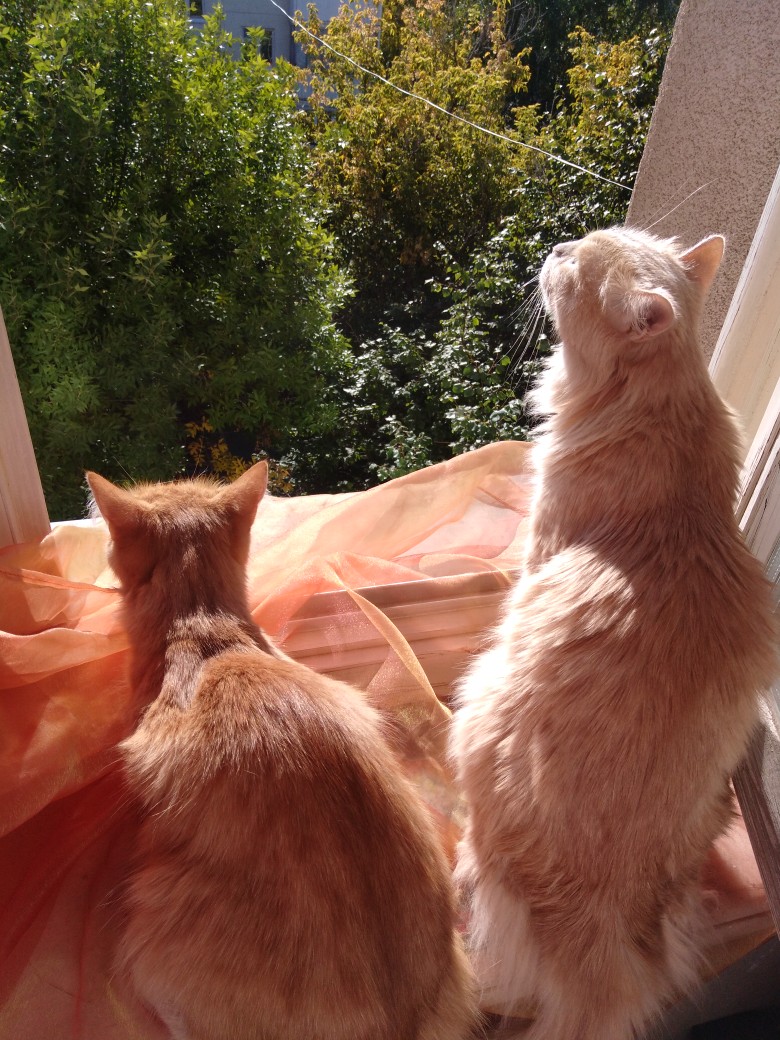 Какое утро - замечательное