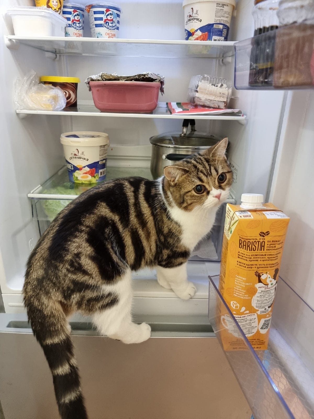 Хотела чего - нибудь вкусненького, но ничего не нашла