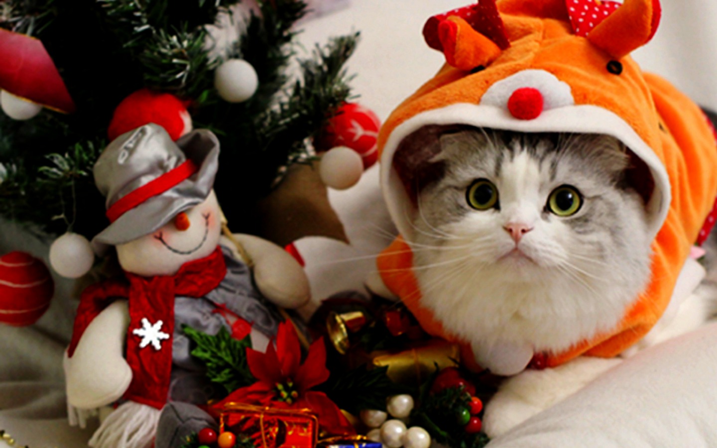 С Новым годом, дорогие друзья