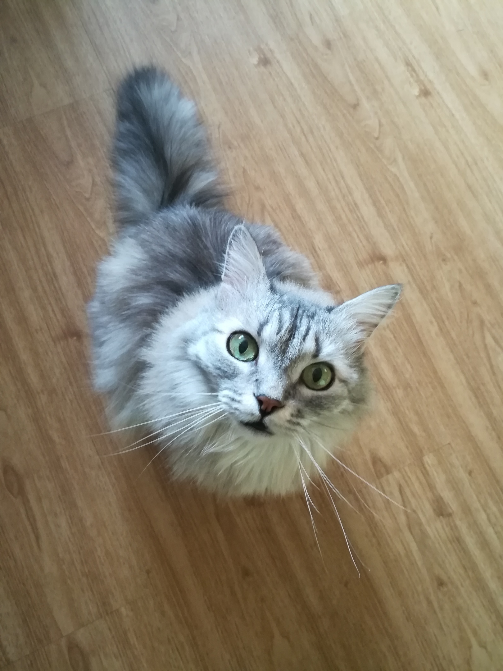 Устали, идите отдохните