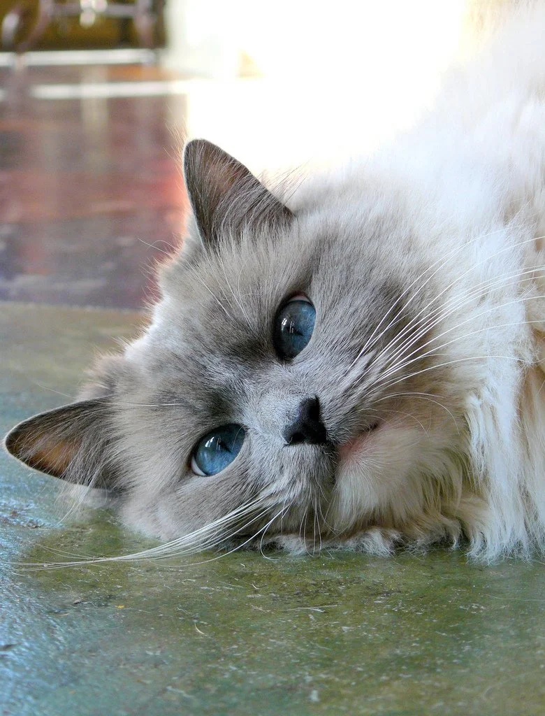 Выспалась или нет, вот в чём вопрос