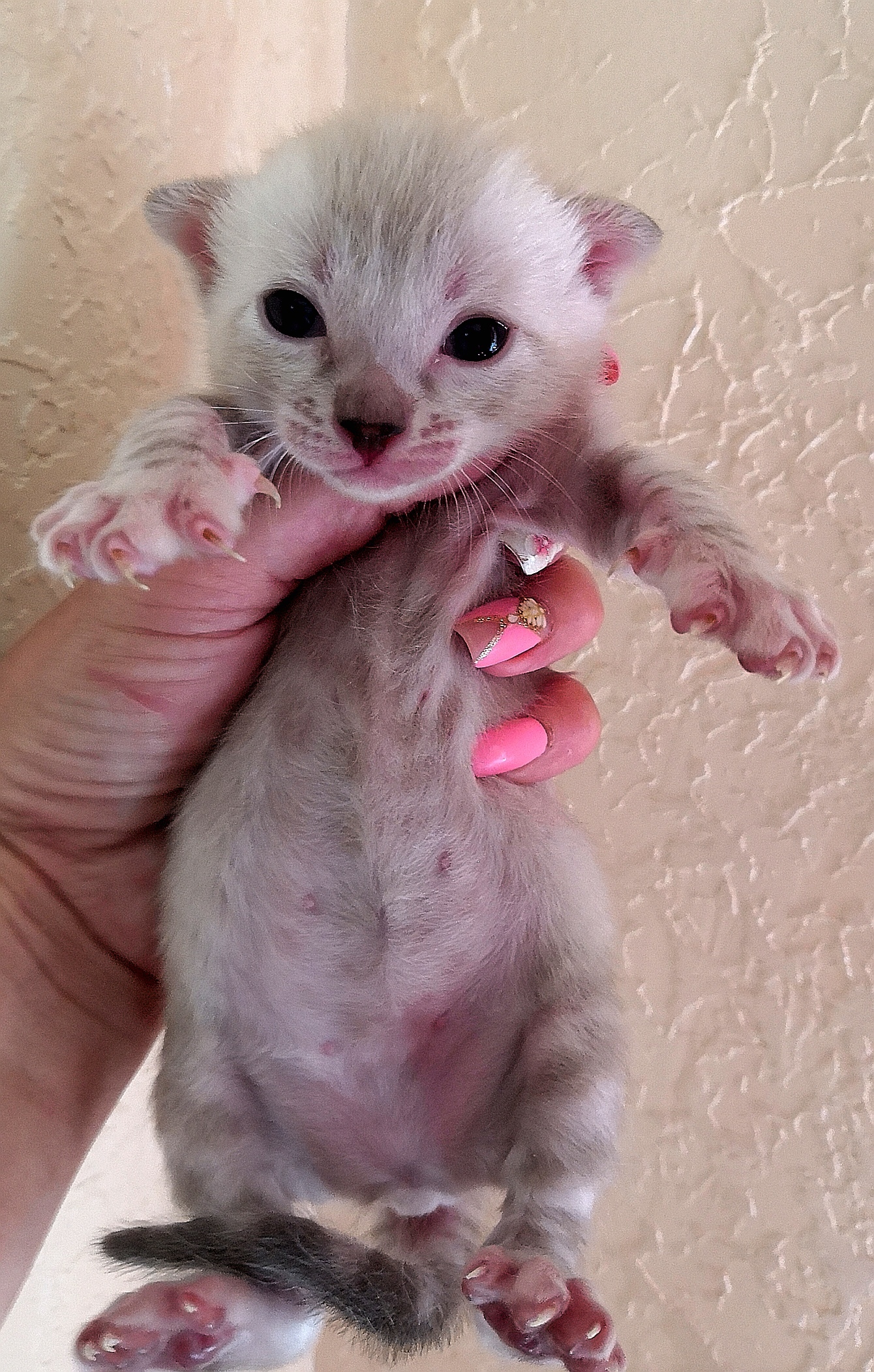 Руки прочь от меня