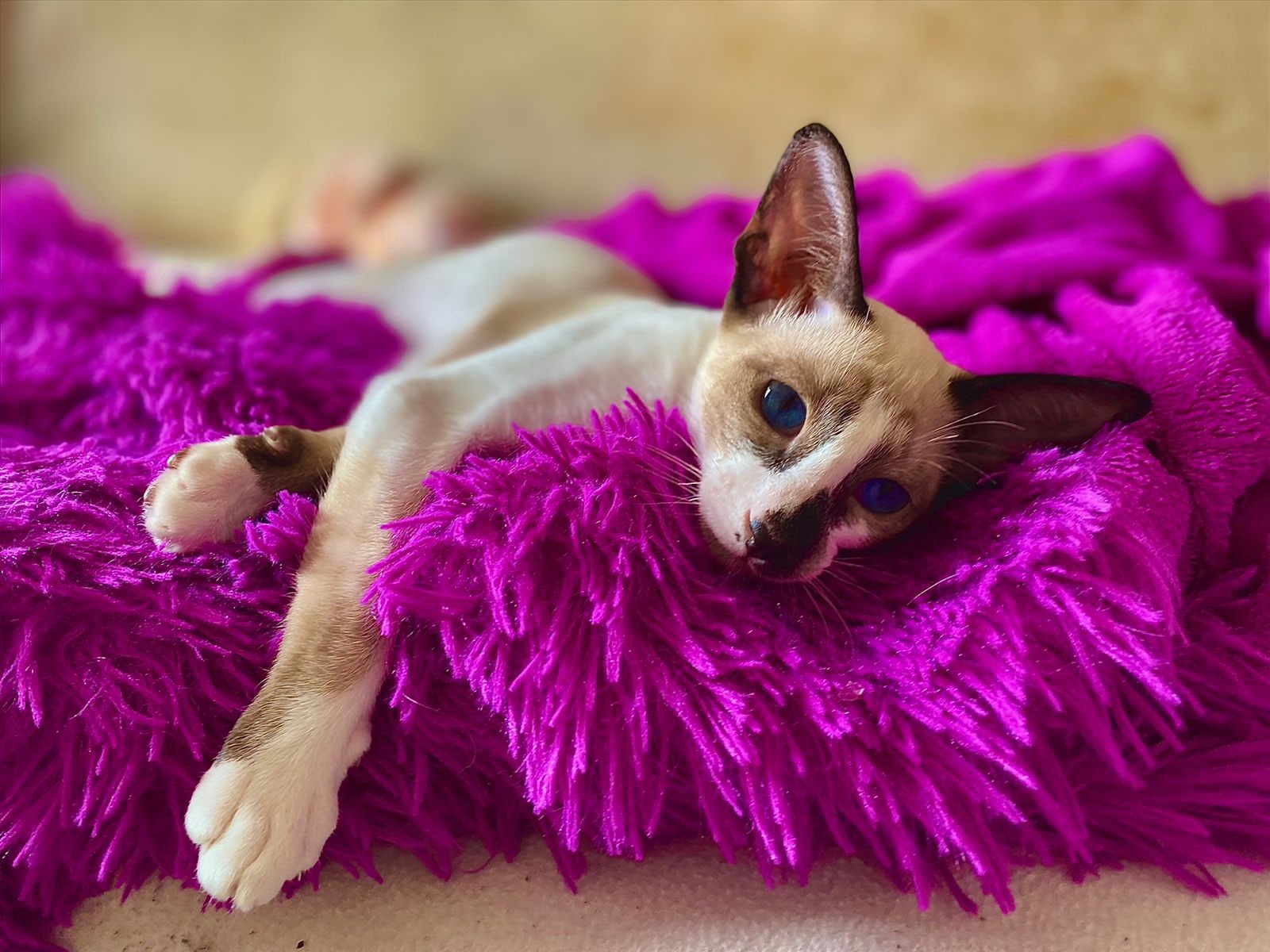 Отдых - очень полезное занятие