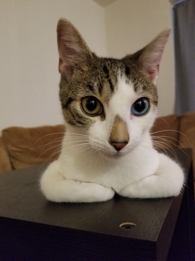 Вас нужно выслушать, я готова