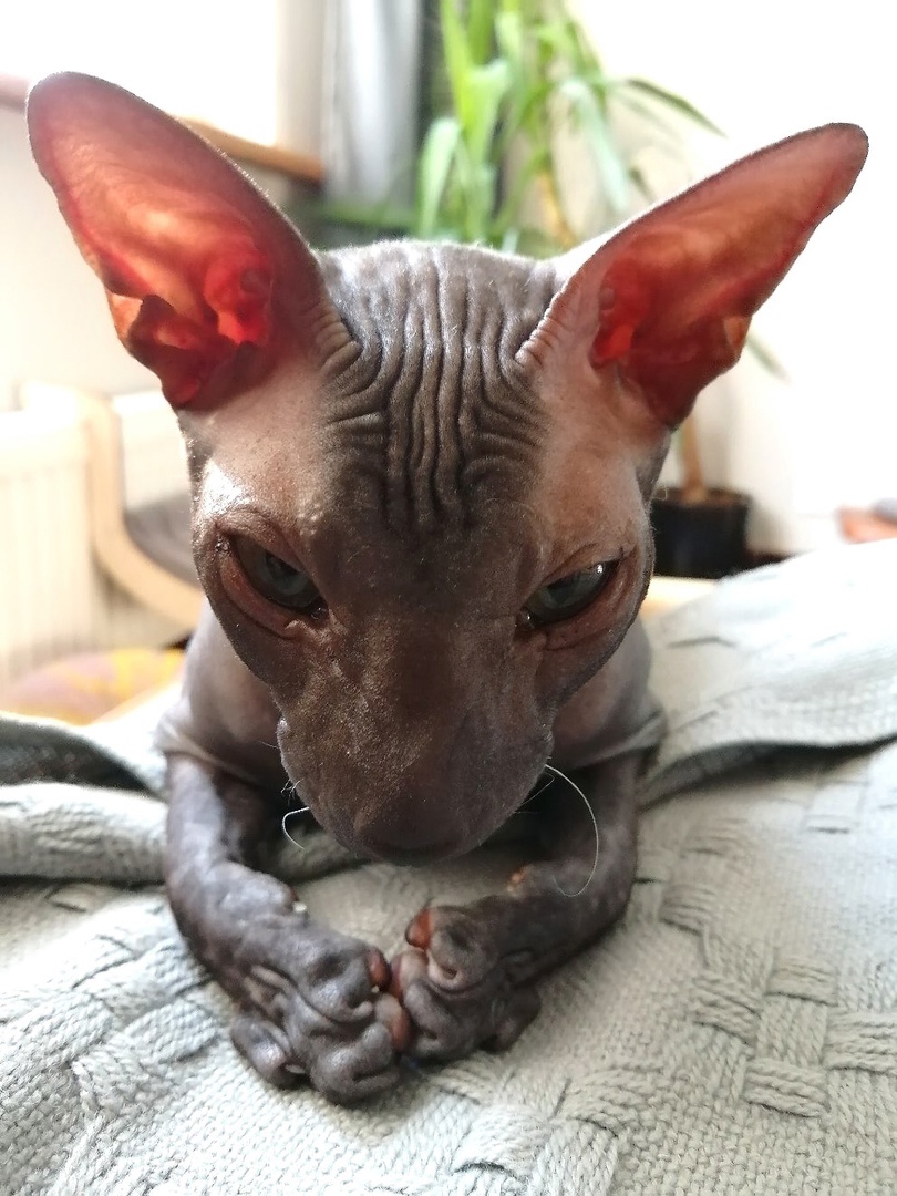 Как же хочется, кого - нибудь помучить