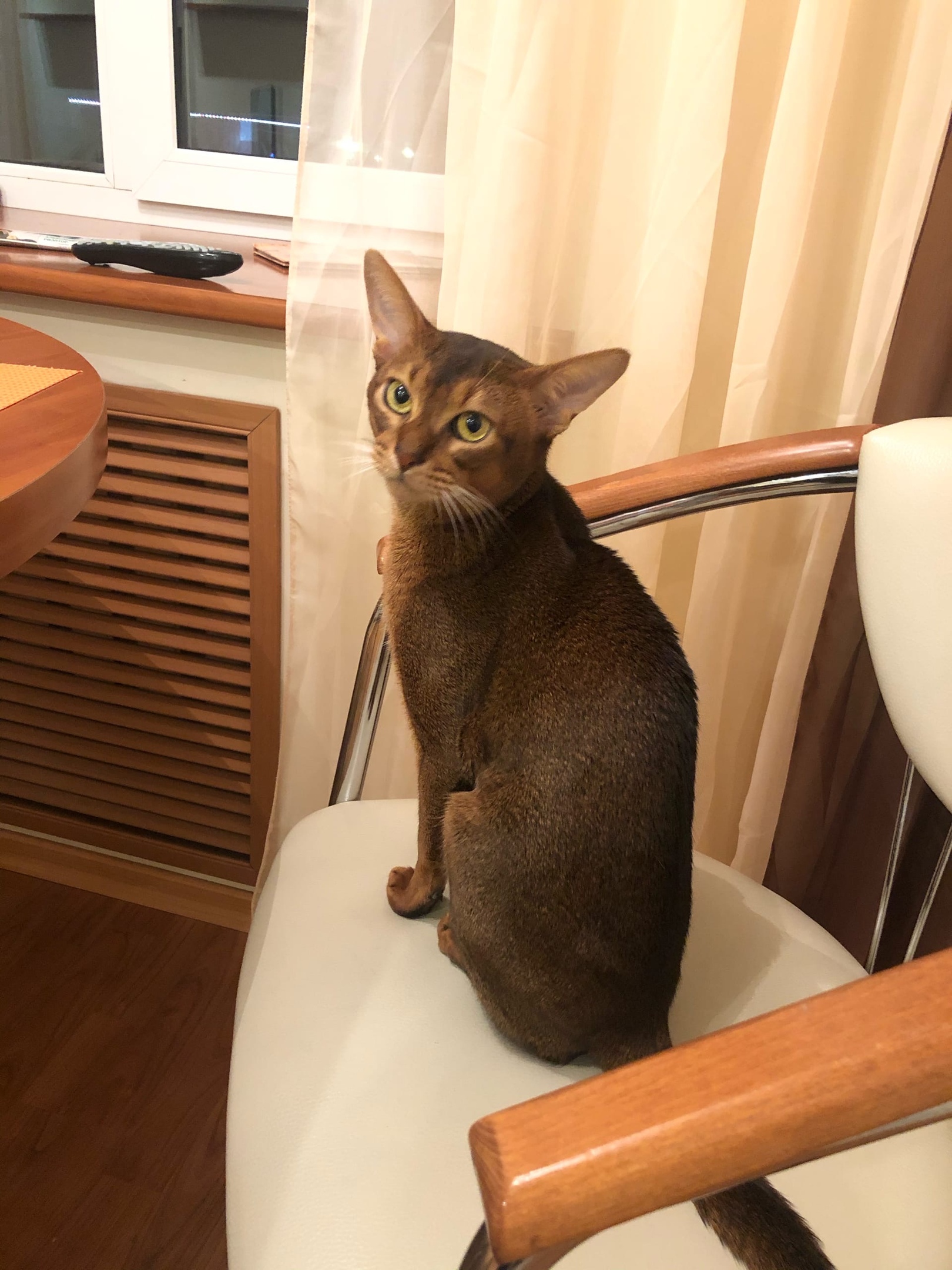 Будьте так любезны, накормите меня