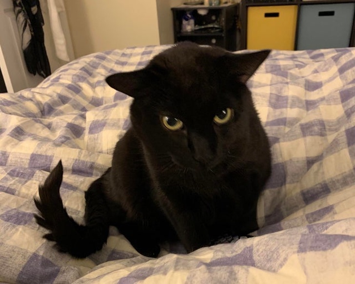 Лучше не кричите, а спокойно объясните