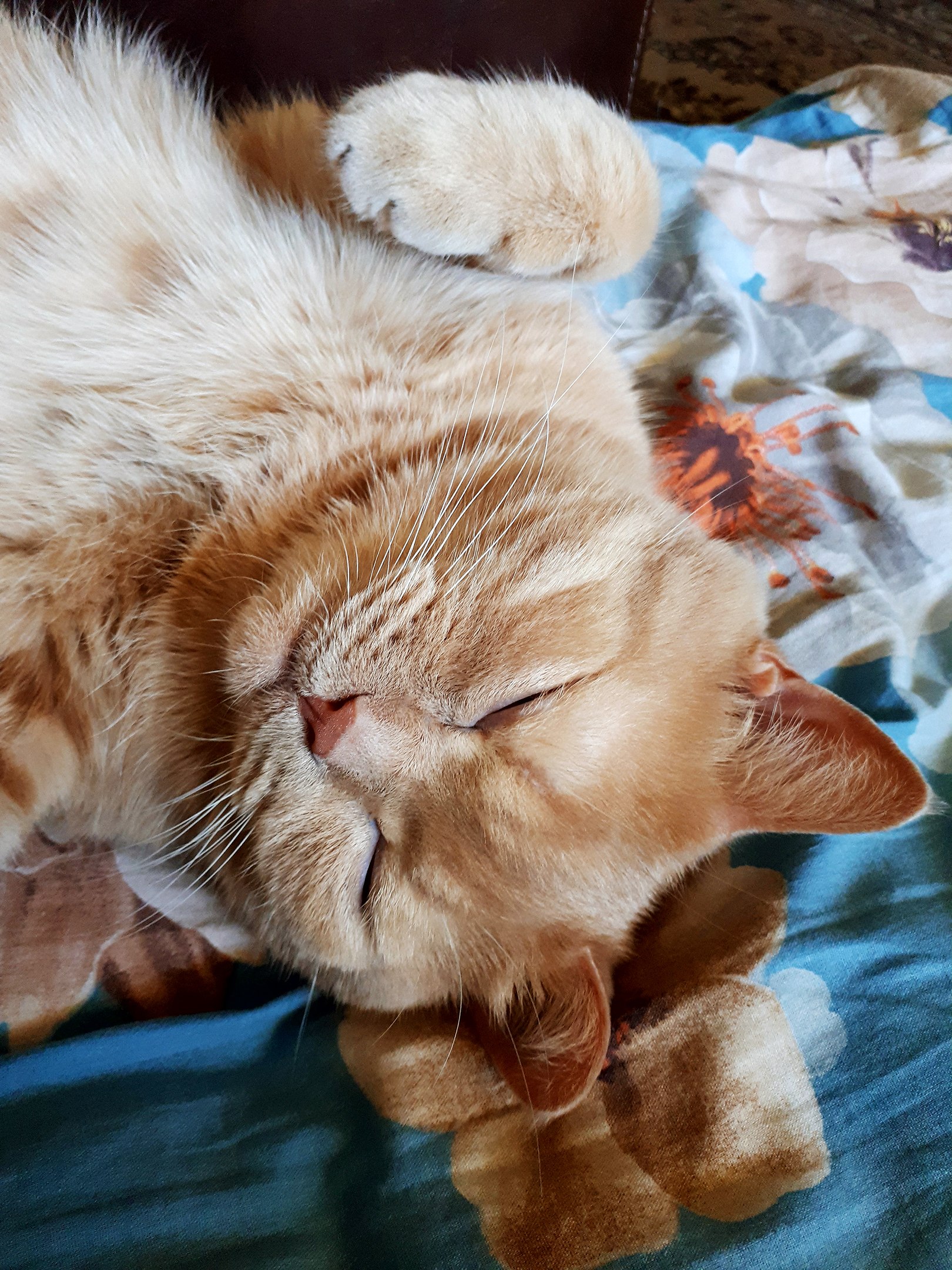 Люблю поспать, после обеда