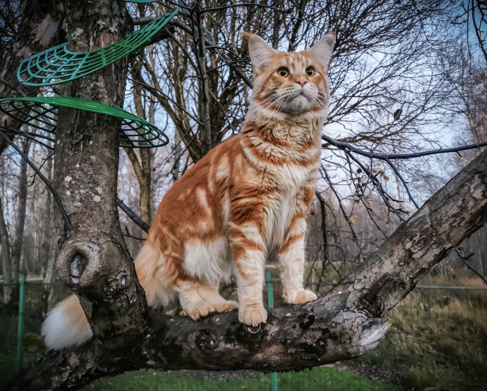 Враг не пройдёт, по - любому