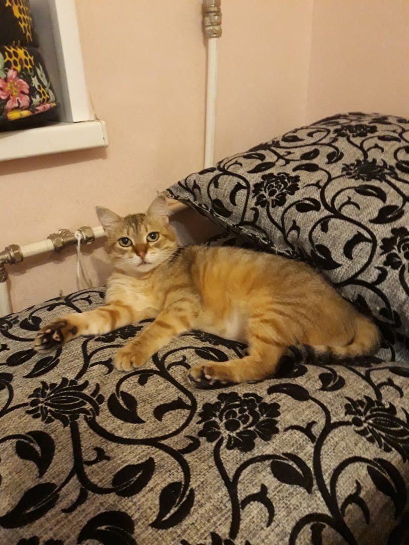 Я, забил это местечко на всю зиму