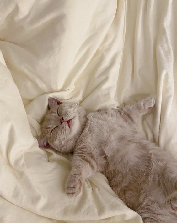 Понедельник, пятница - какая разница