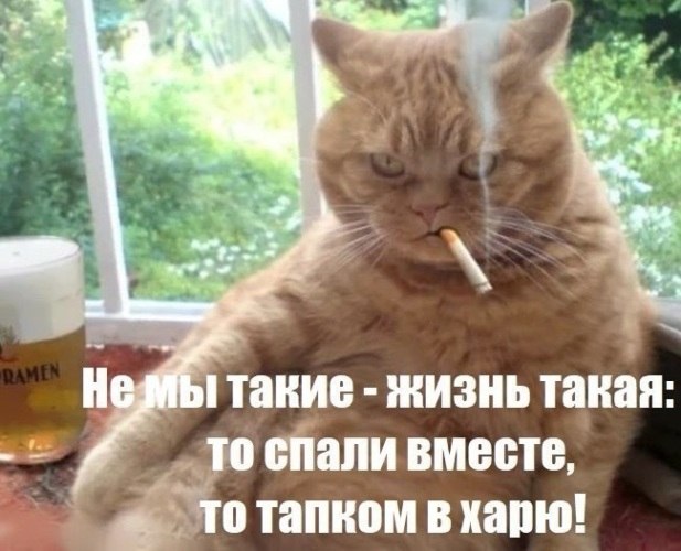 Полное разочарование