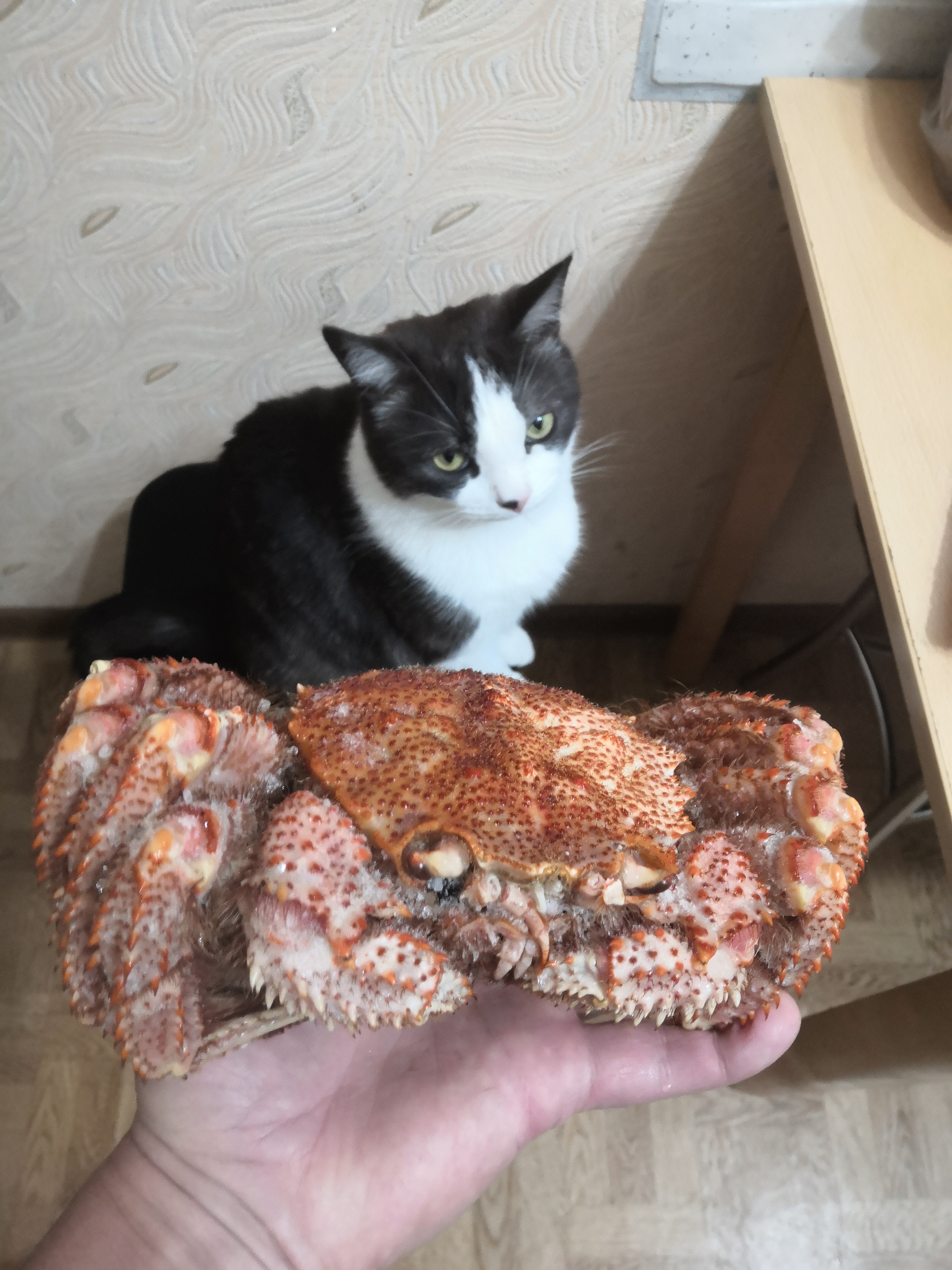 Держать какого краба