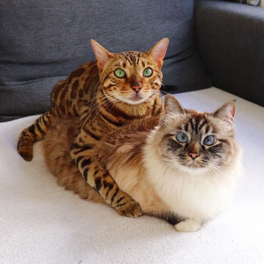 А мы тут лежим, ничего не делаем