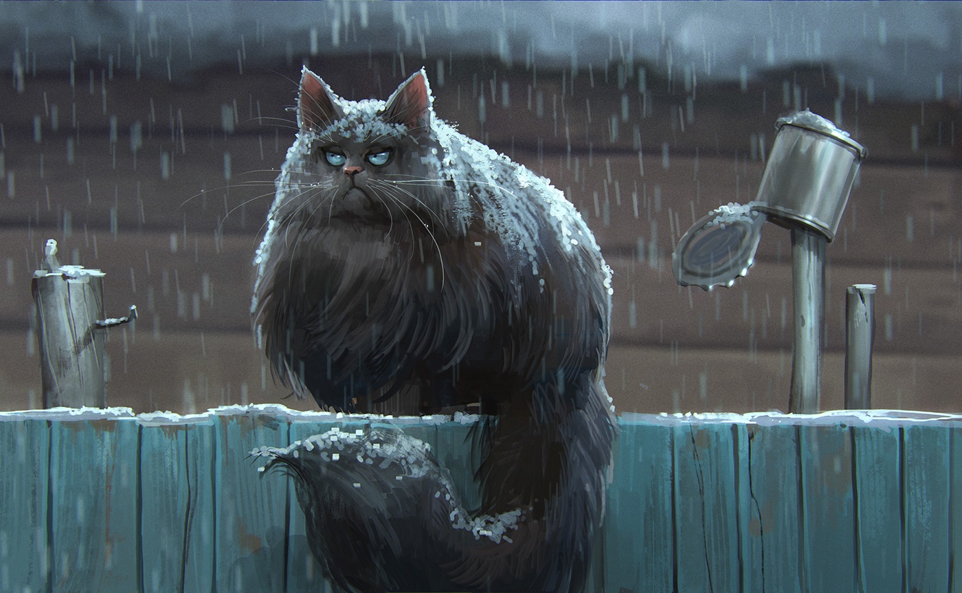 Кот сидит на заборе и смотрит на снег