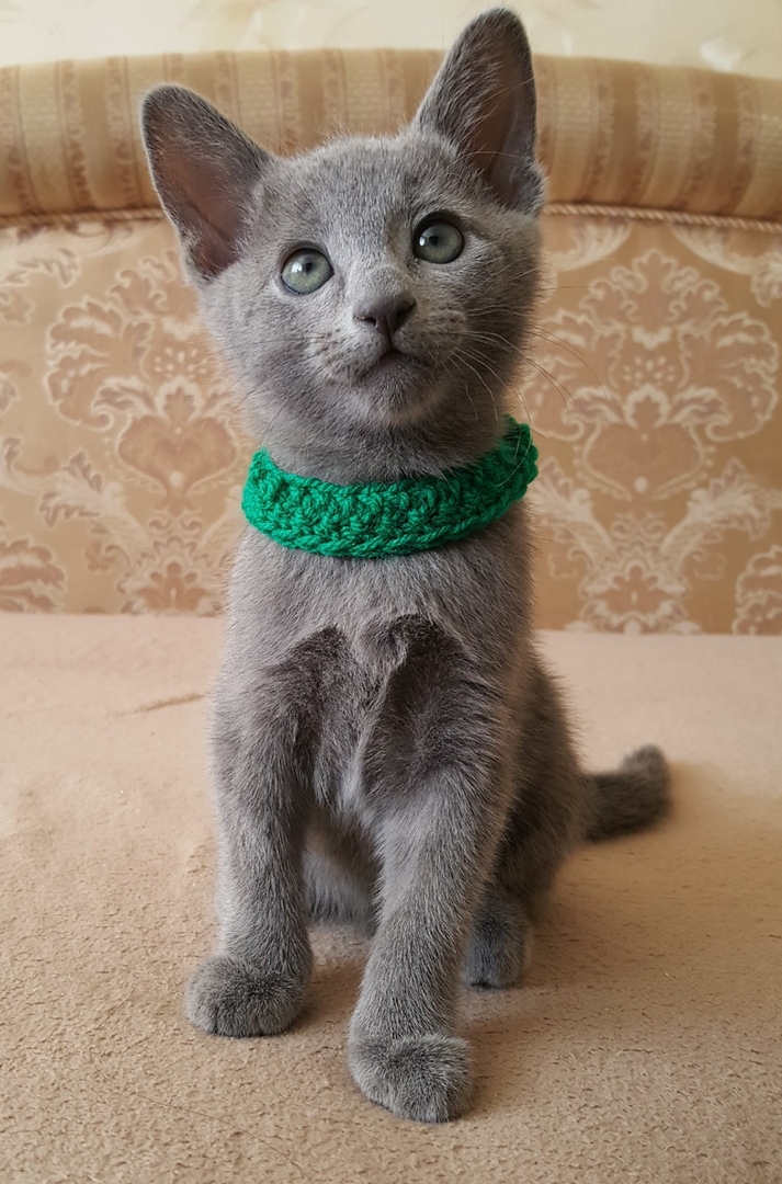 Самый модный парень