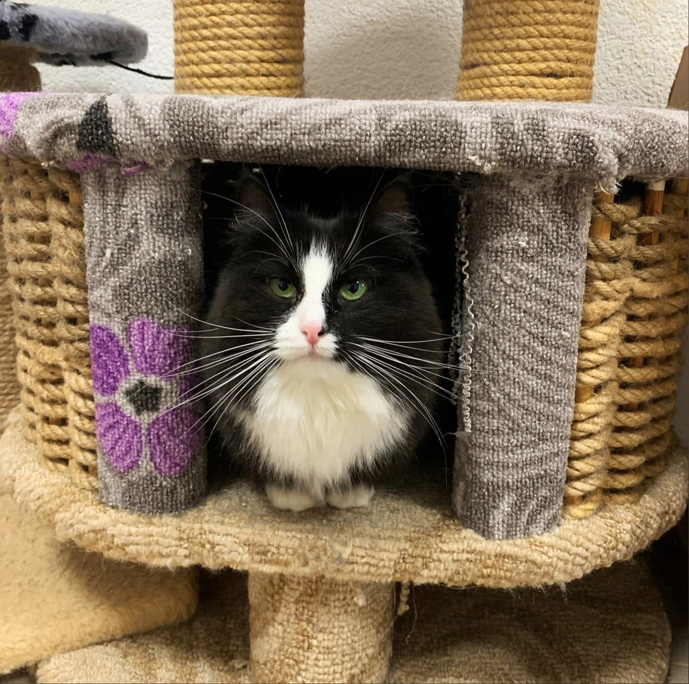 Кто - где, а я в домике