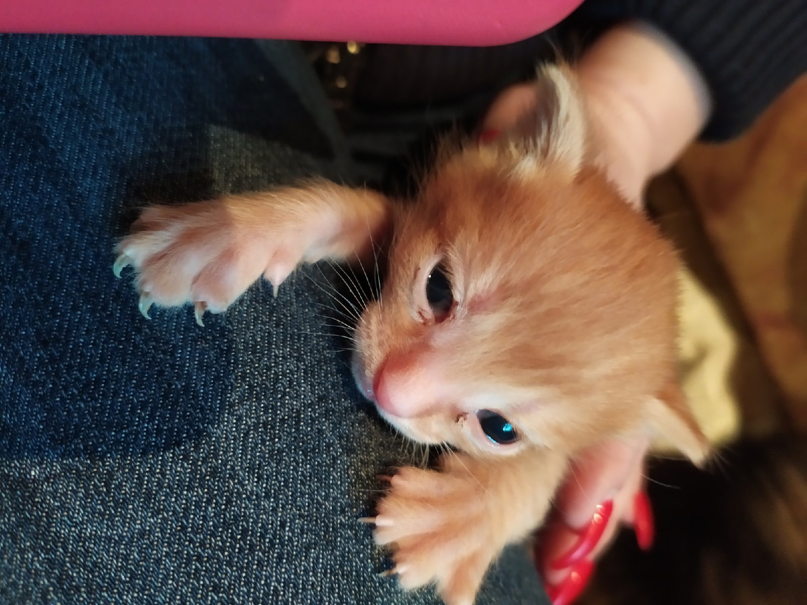 Вот я какой, самостоятельный