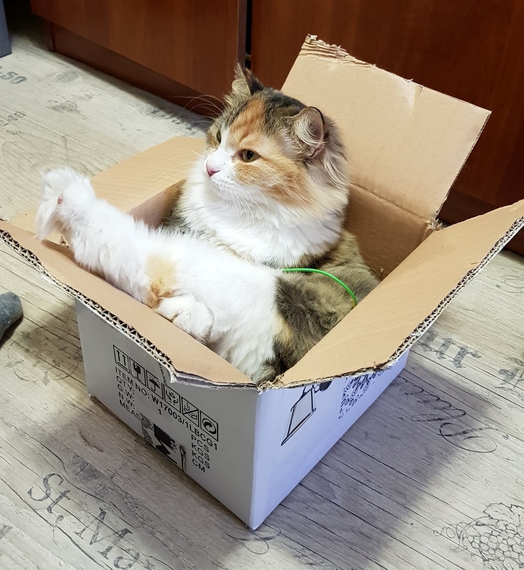 Красиво жить, не запретишь