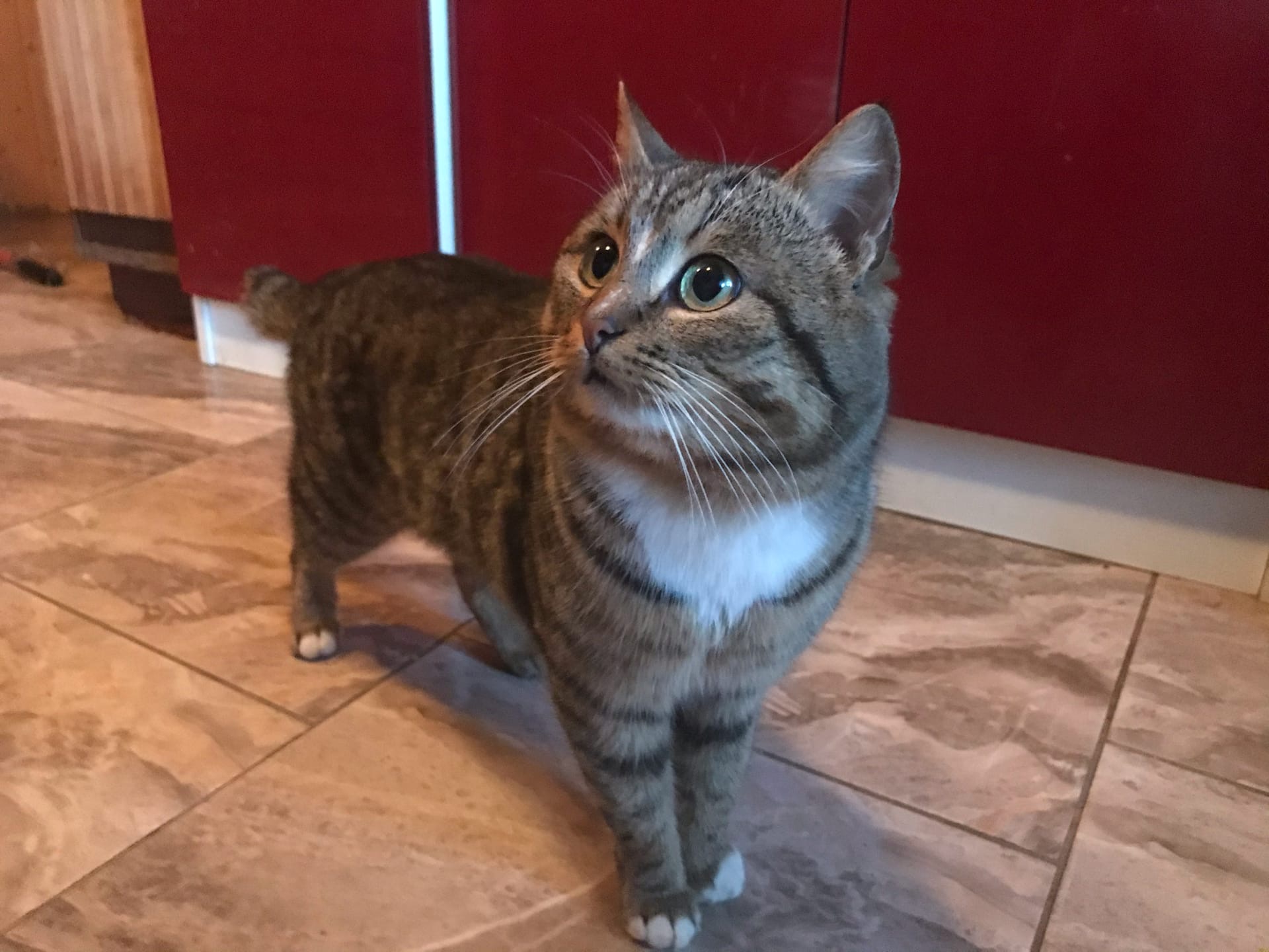 Что - то, я вкусных запахов не ощущаю