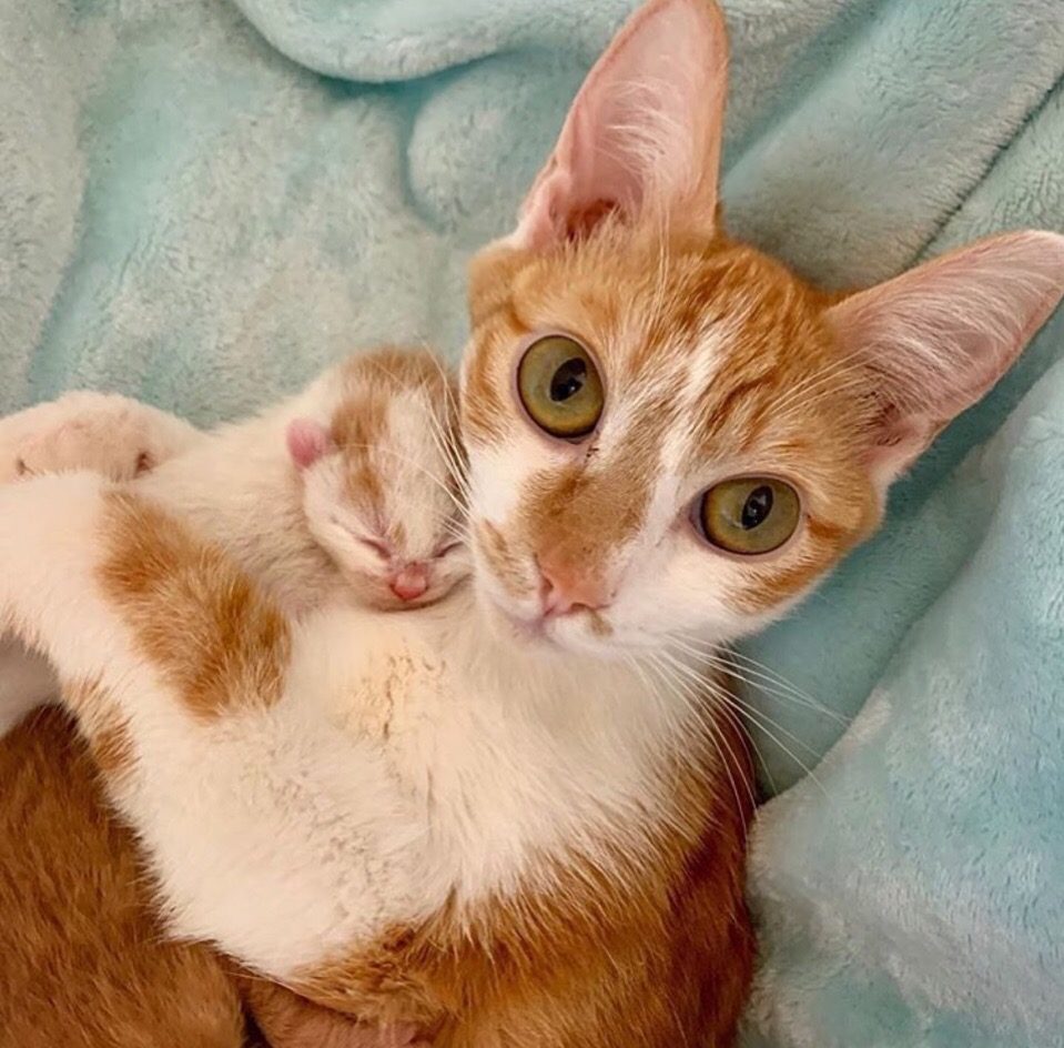 Малыш ещё спит, приходите позже