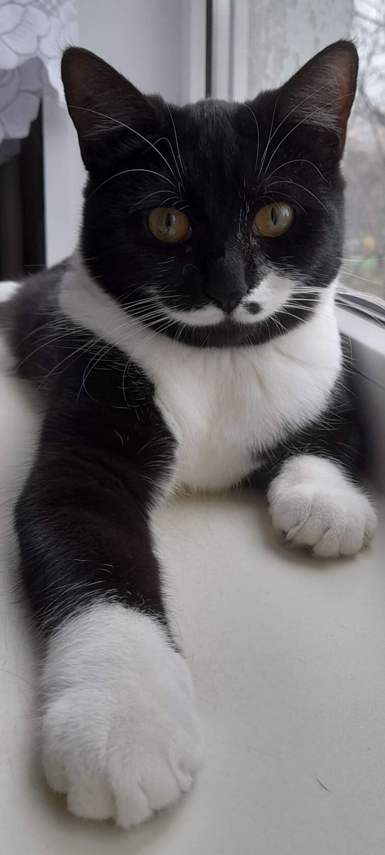 Утро у нас начинается - с осмотра двора