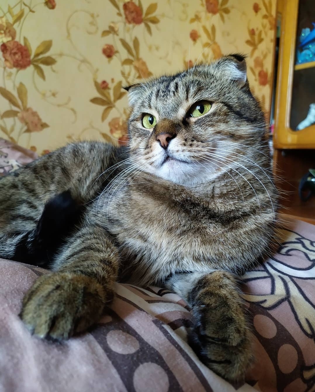 Кажется, меня посетила мысль