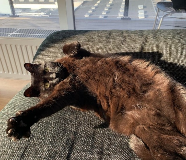 Утренние покайфушки