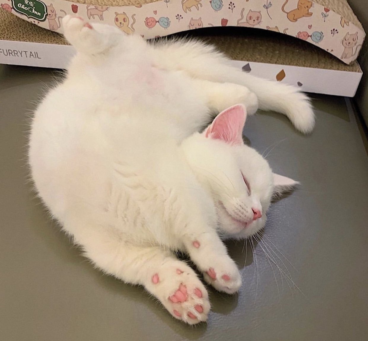 Вот такое у нас - утро