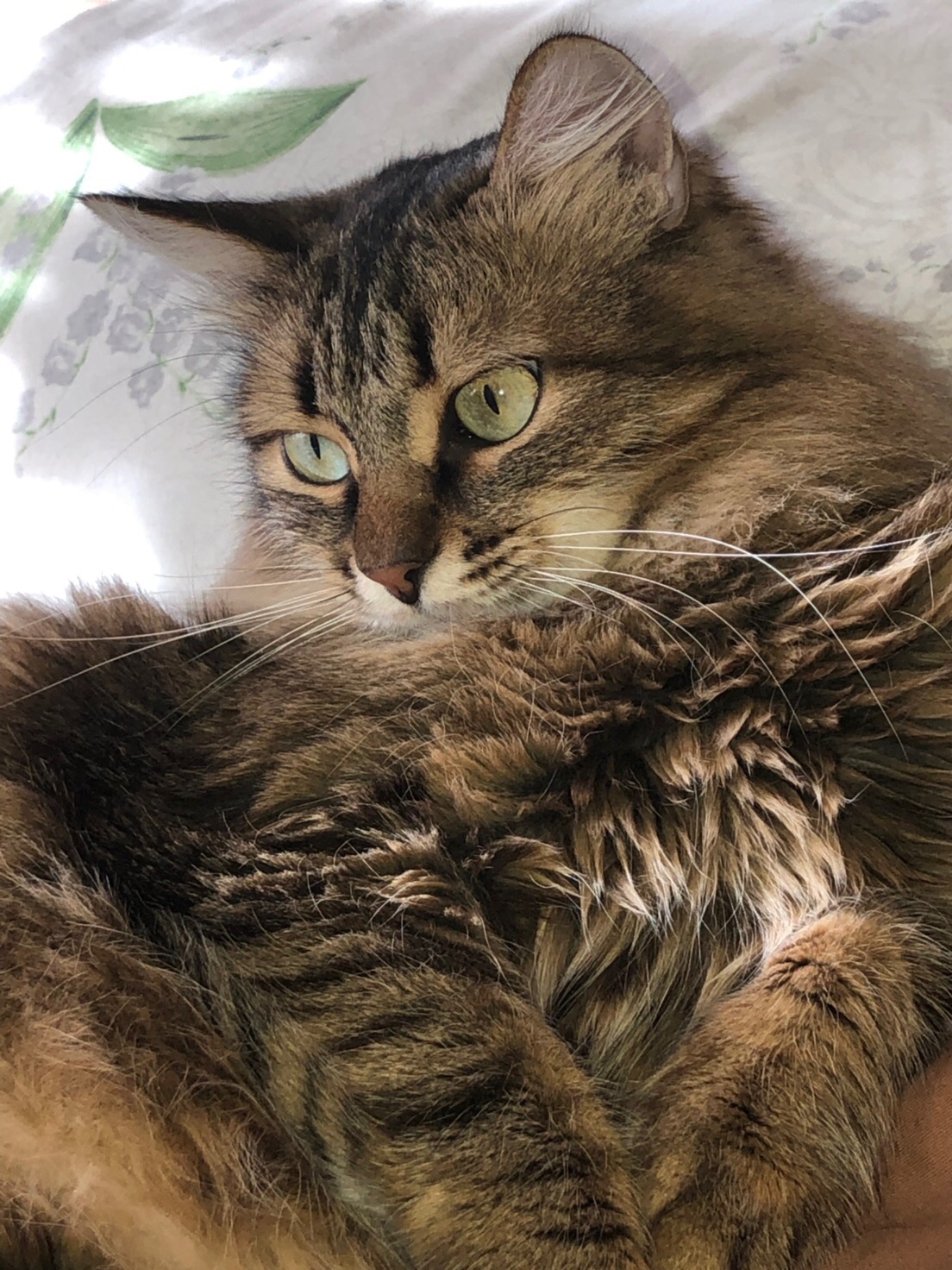 Ну всё, пора ложиться спать