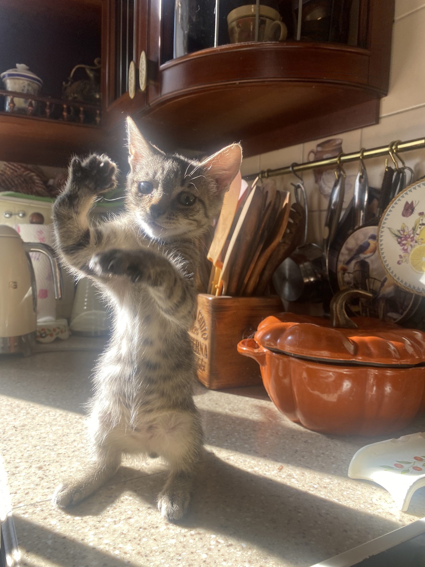 Мне, вот столько рыбки дайте