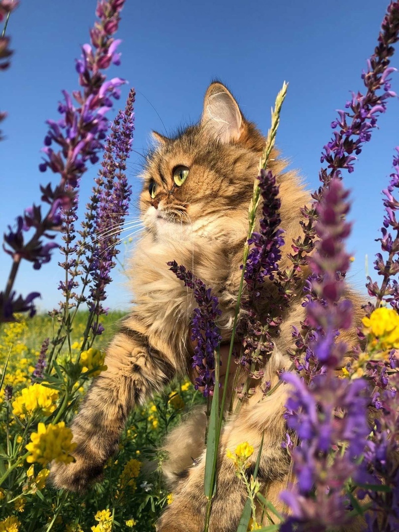 Одним словом, красота